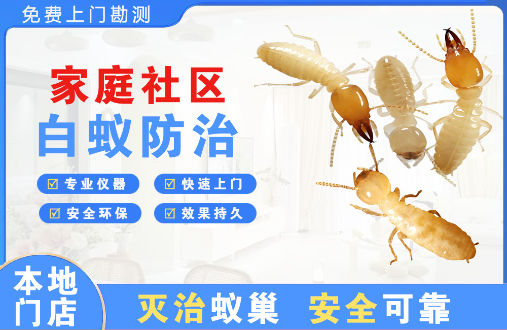 漳浦家庭社区白蚁防治