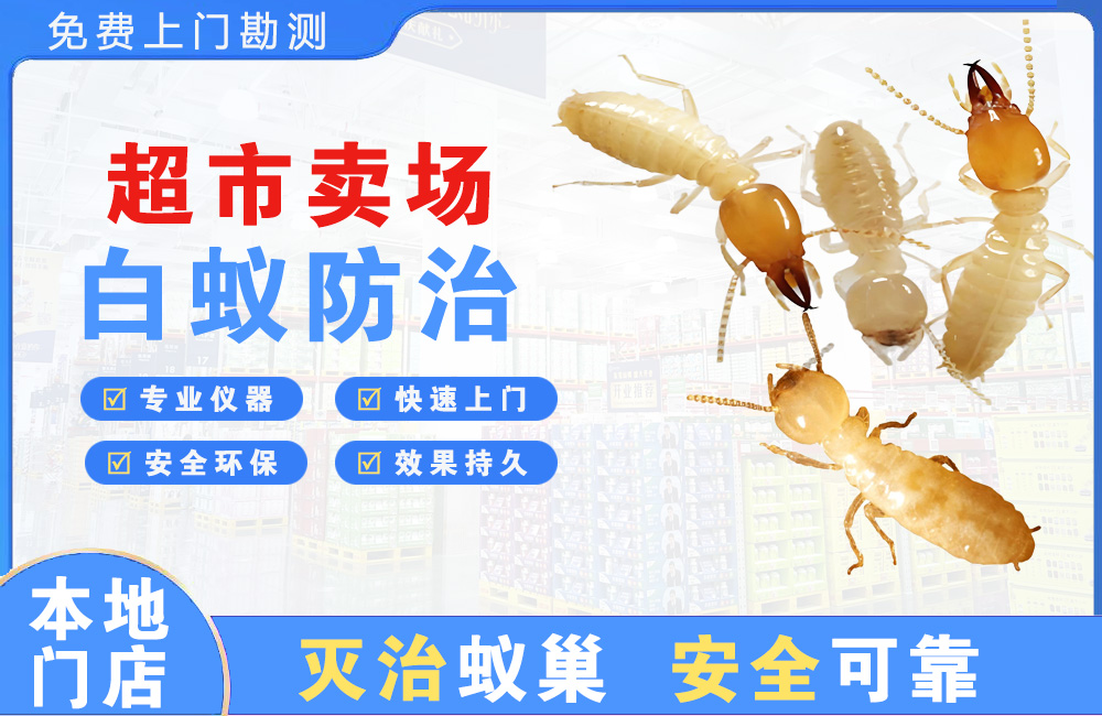 漳浦超市卖场白蚁防治