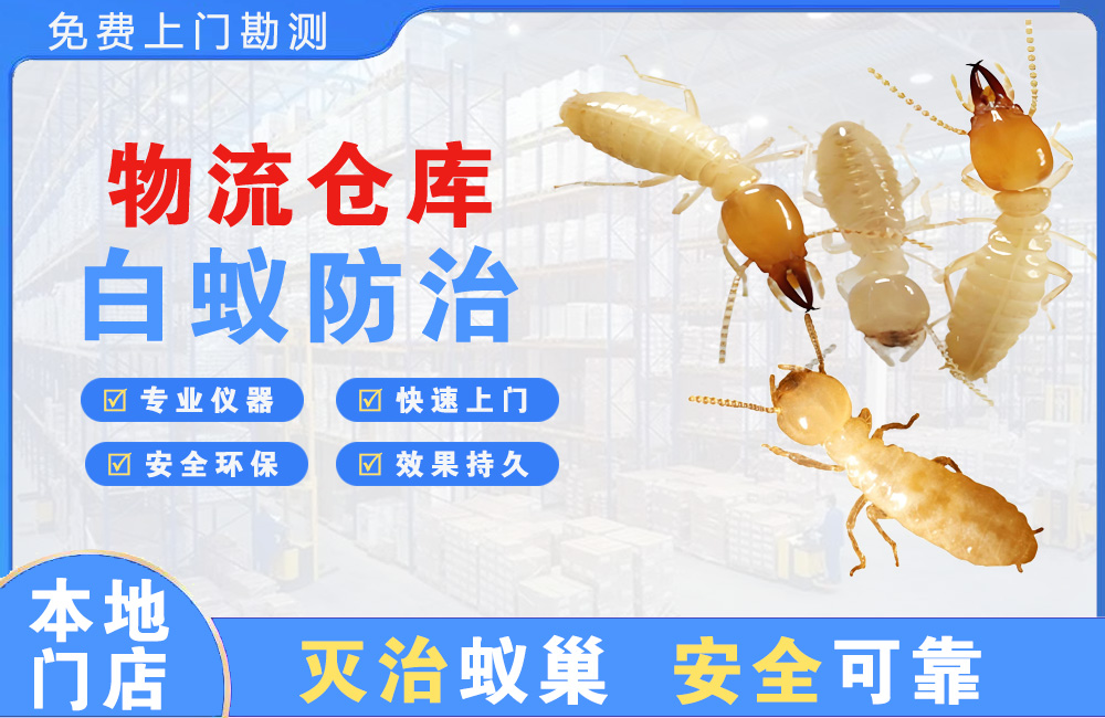 漳浦物流仓库白蚁防治