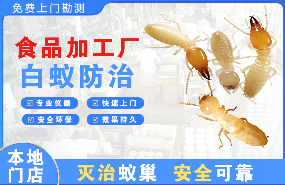 漳浦食品加工厂白蚁防治
