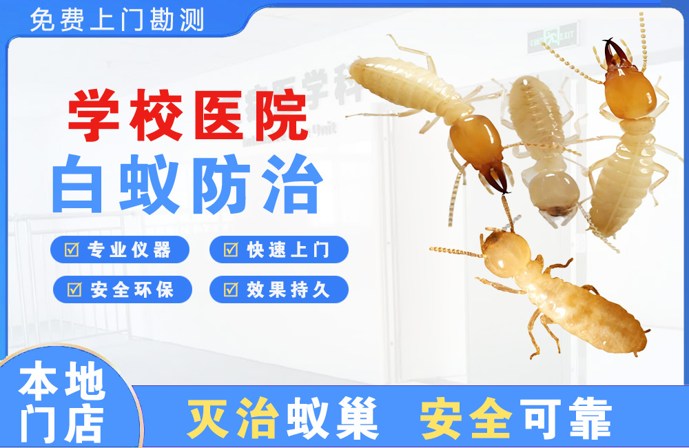 漳浦学校医院白蚁防治