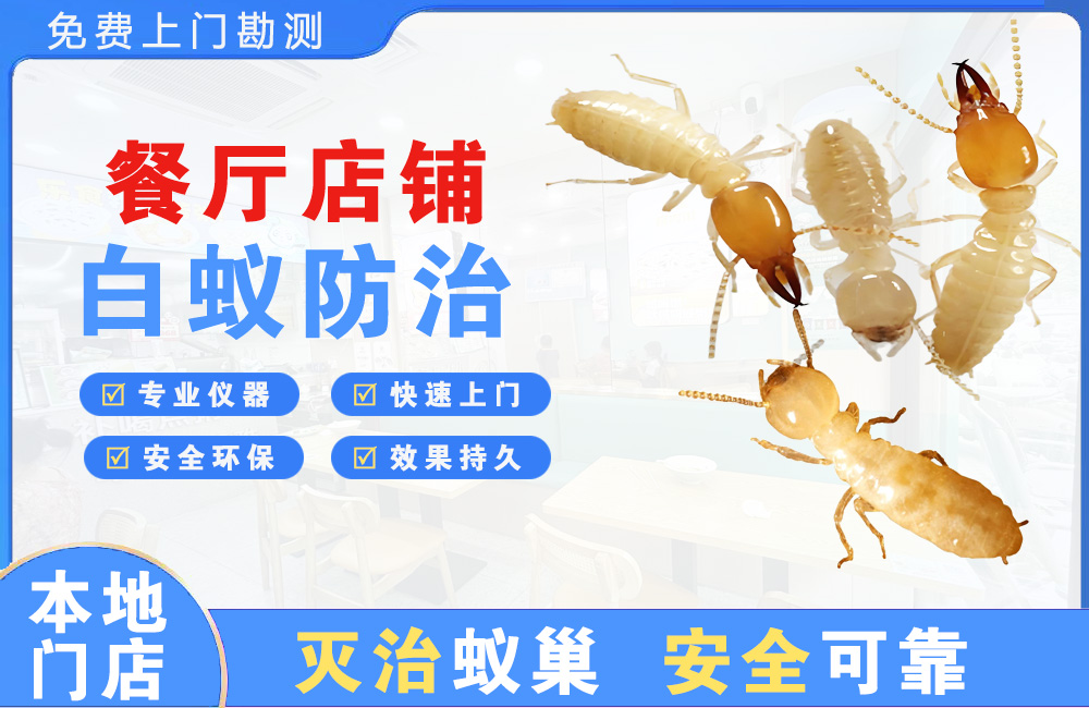 漳浦餐厅店铺白蚁防治